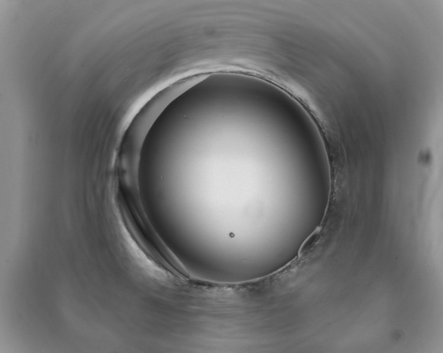 X0000091211524200708091337