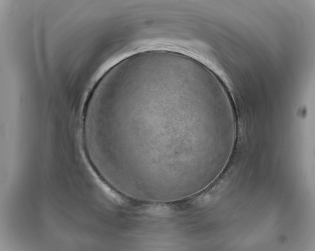 X0000091211525200708091337
