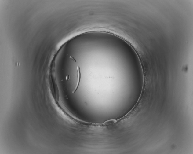 X0000091211526200708091337