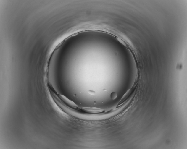 X0000091211528200708091337