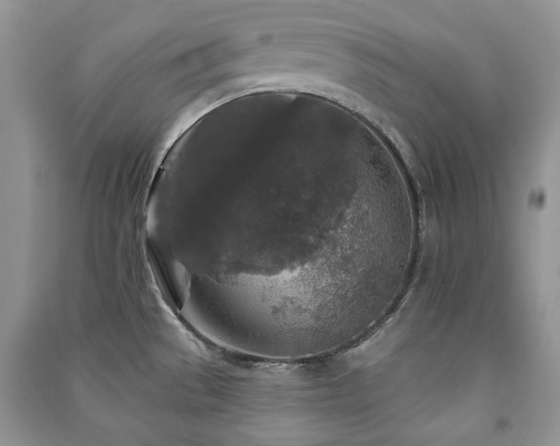 X0000091211529200708091337