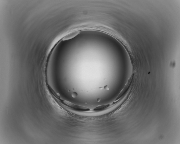 X0000091211530200708091337