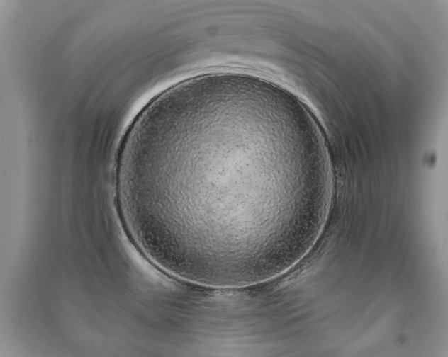 X0000091211531200708091337