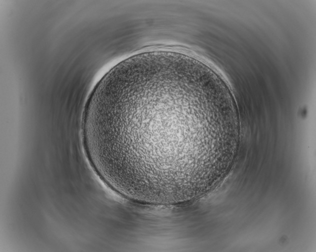 X0000091211533200708091337