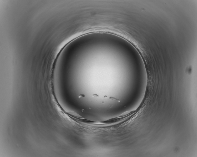 X0000091211534200708091337