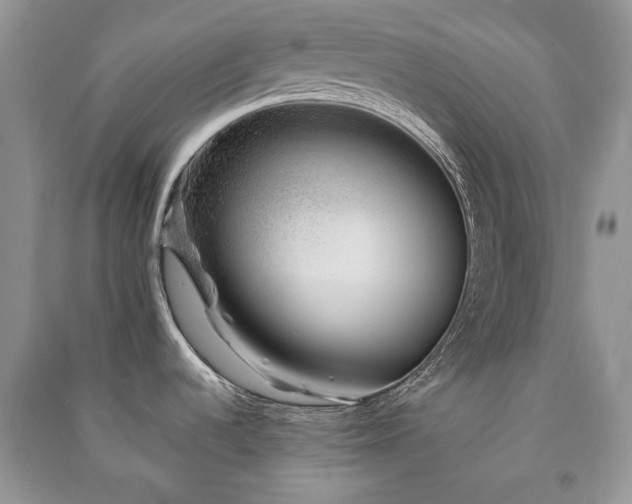 X0000091211536200708091337