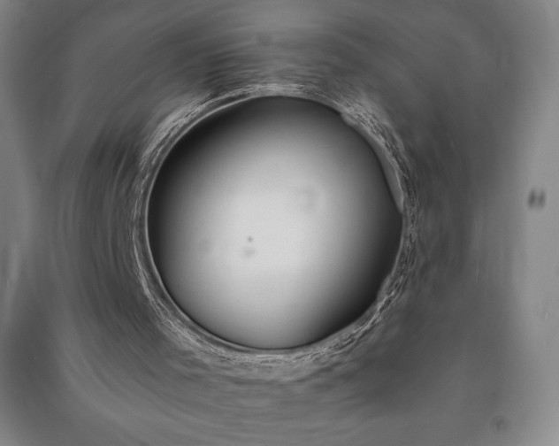 X0000091210001200708161552