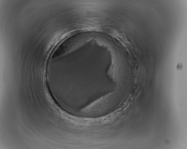 X0000091210002200708161552