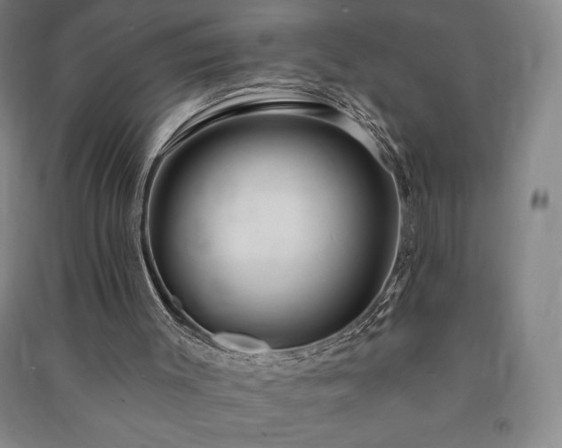 X0000091210003200708161552