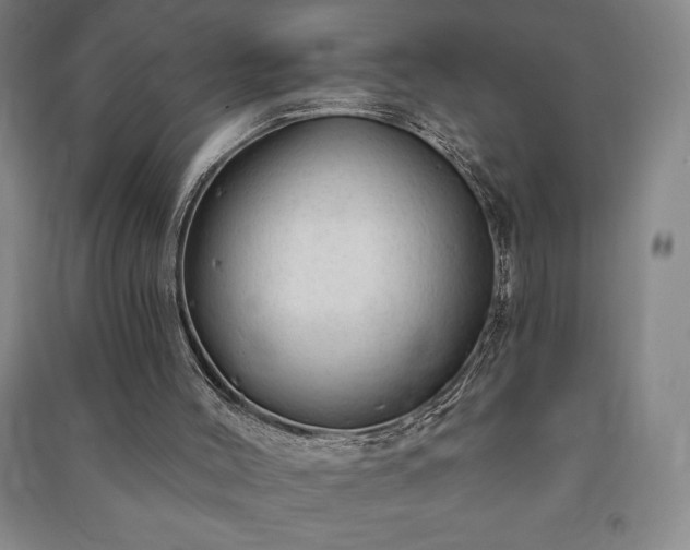 X0000091210004200708161552
