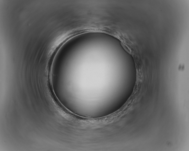 X0000091210005200708161552