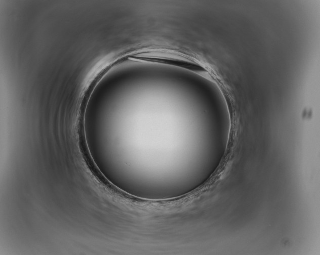 X0000091210007200708161552