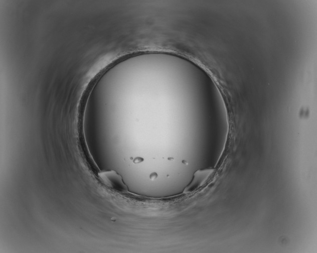X0000091210008200708161552