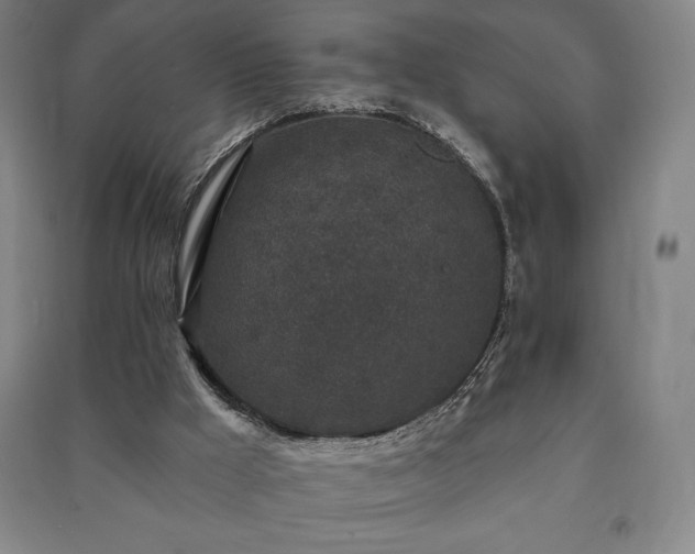 X0000091210009200708161552