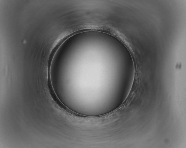 X0000091210011200708161552