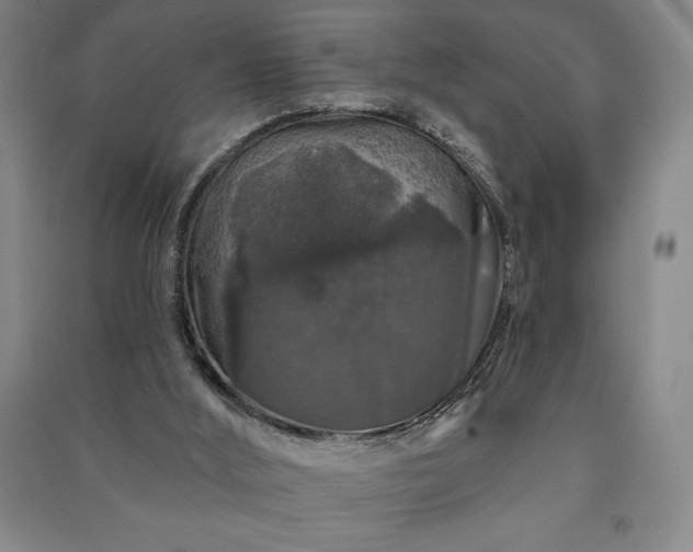 X0000091210012200708161552