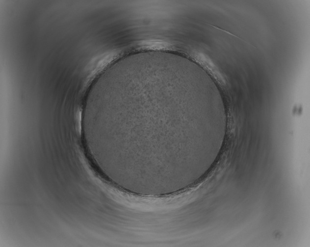 X0000091210014200708161552