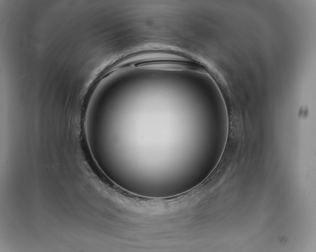 X0000091210015200708161552