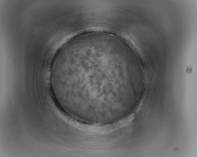 X0000091210016200708161552