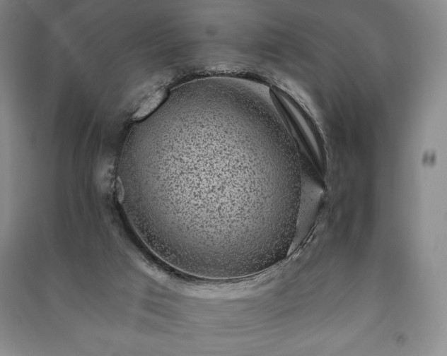 X0000091210017200708161552