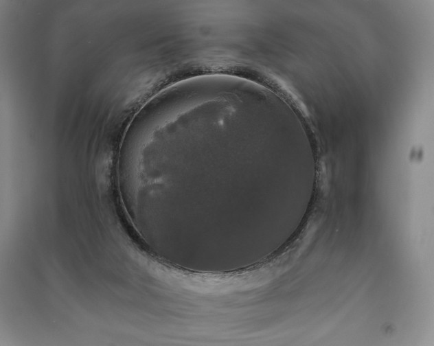 X0000091210018200708161552