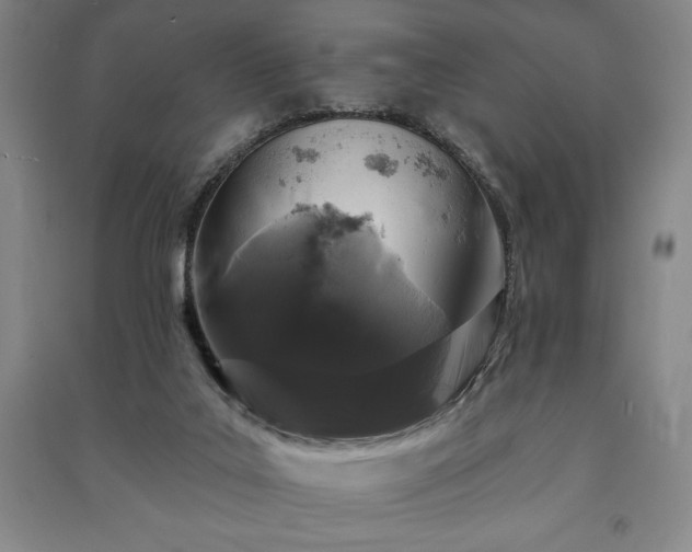 X0000091210019200708161552