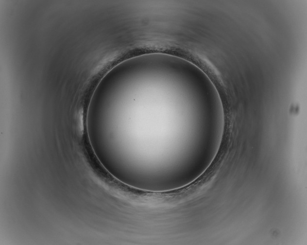 X0000091210020200708161552