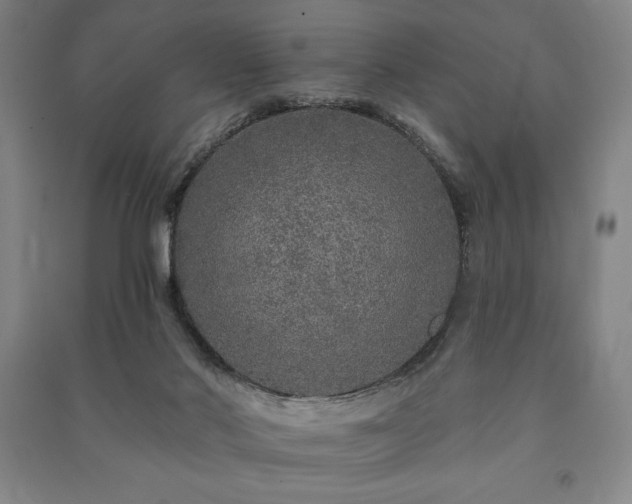 X0000091210022200708161552
