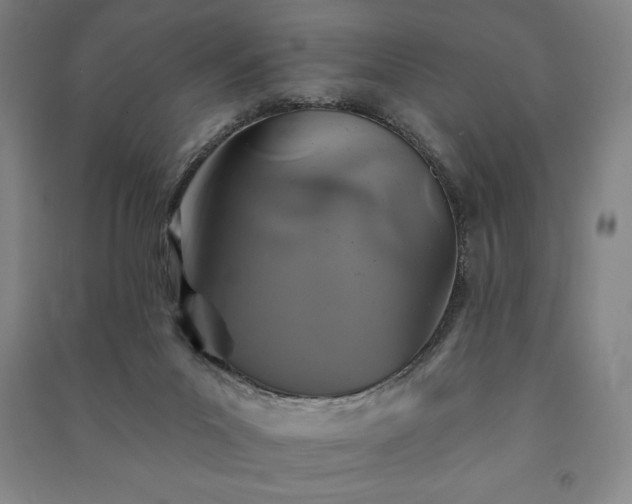 X0000091210023200708161552