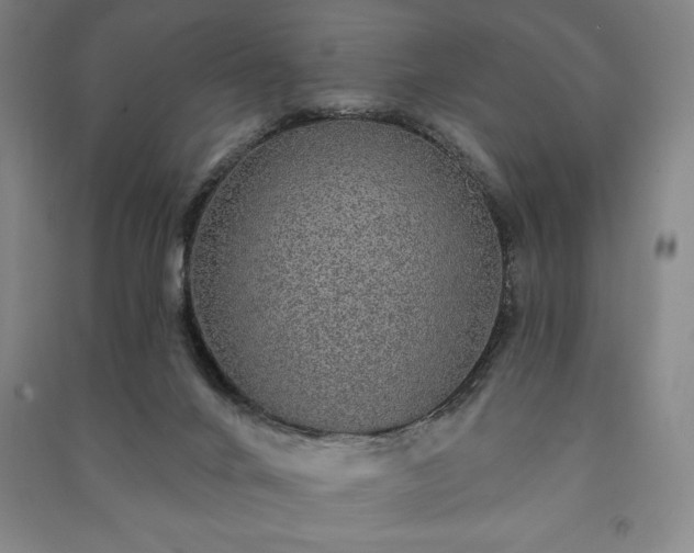 X0000091210024200708161552