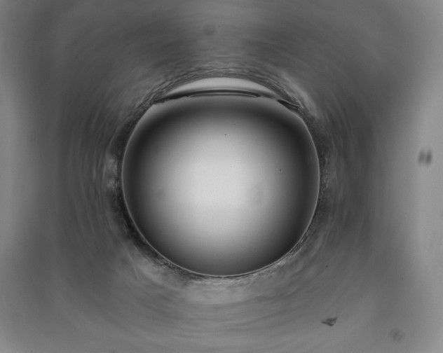 X0000091210025200708161552