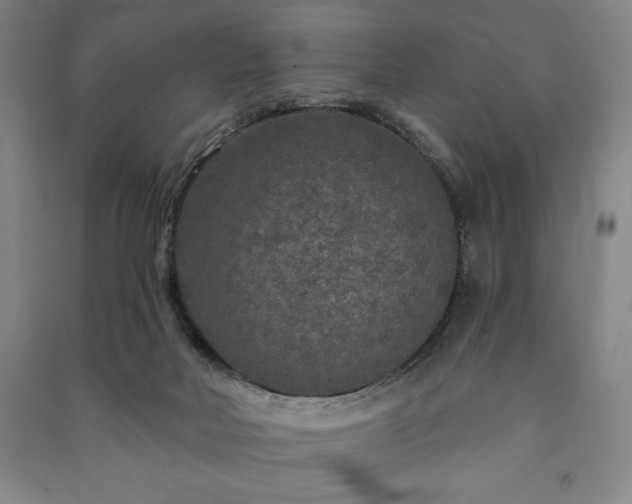 X0000091210026200708161552