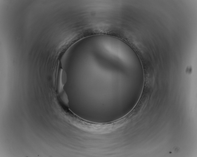 X0000091210027200708161552