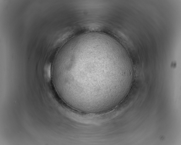 X0000091210028200708161552