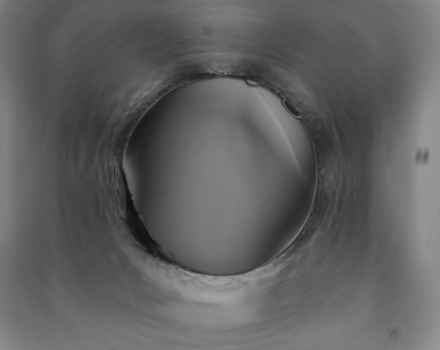 X0000091210031200708161552