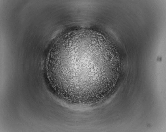 X0000091210032200708161552