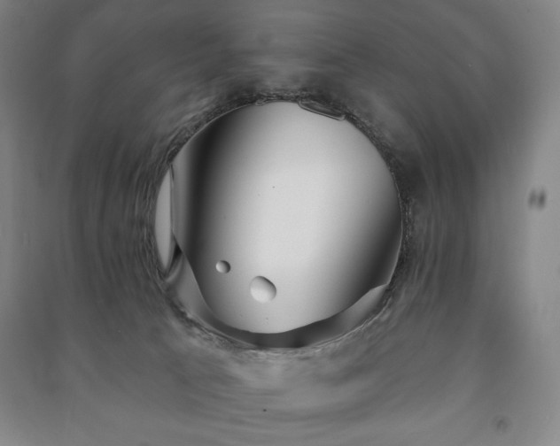 X0000091210033200708161552