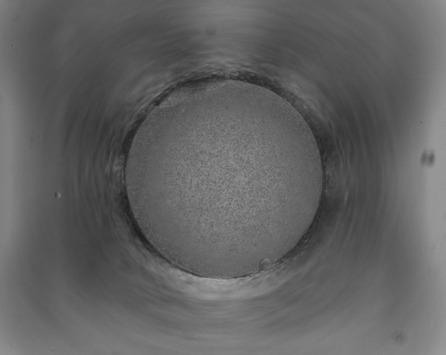 X0000091210034200708161552
