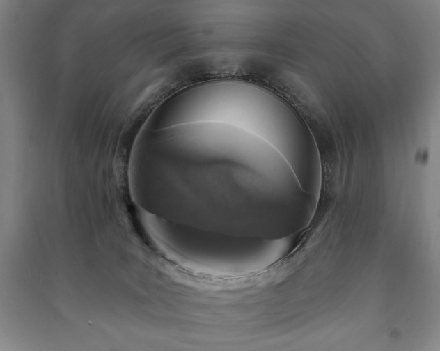 X0000091210035200708161552