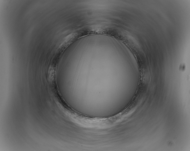 X0000091210036200708161552