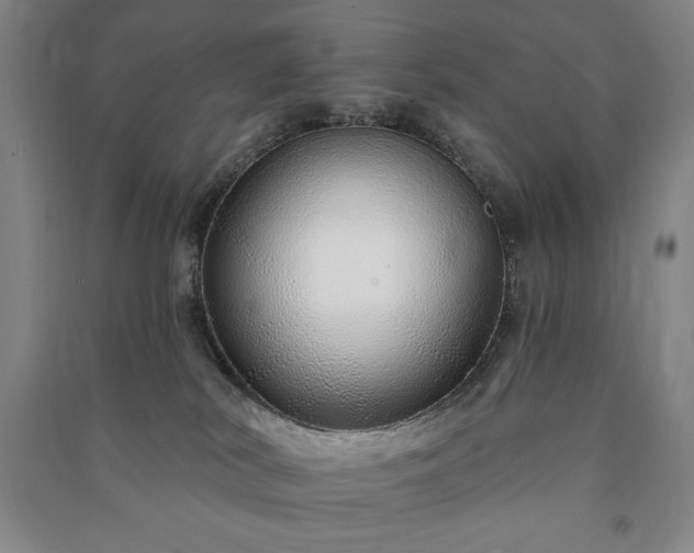 X0000091210038200708161552