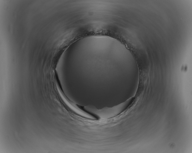X0000091210039200708161552