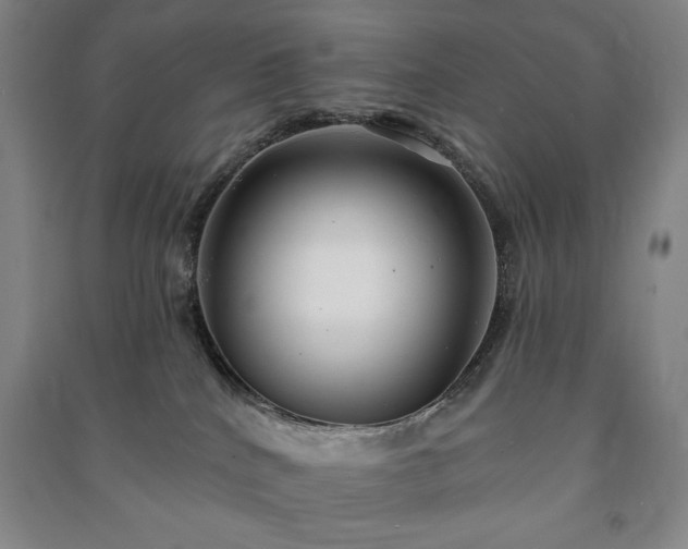X0000091210040200708161552