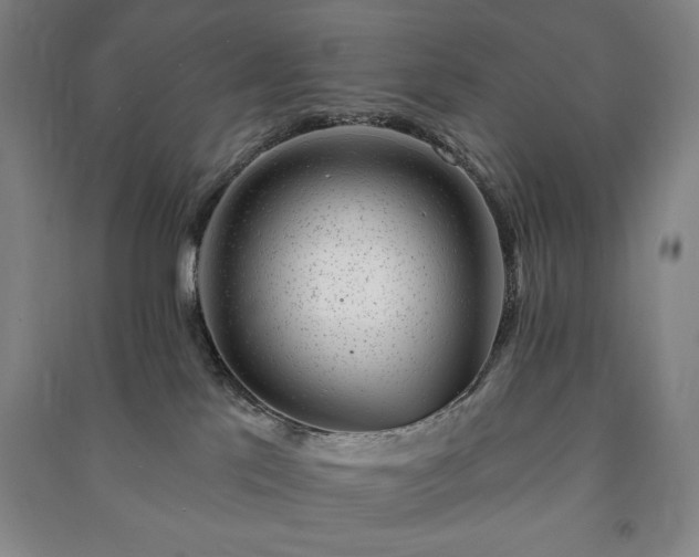X0000091210041200708161552