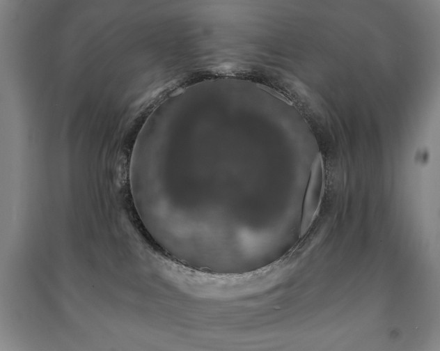X0000091210043200708161552