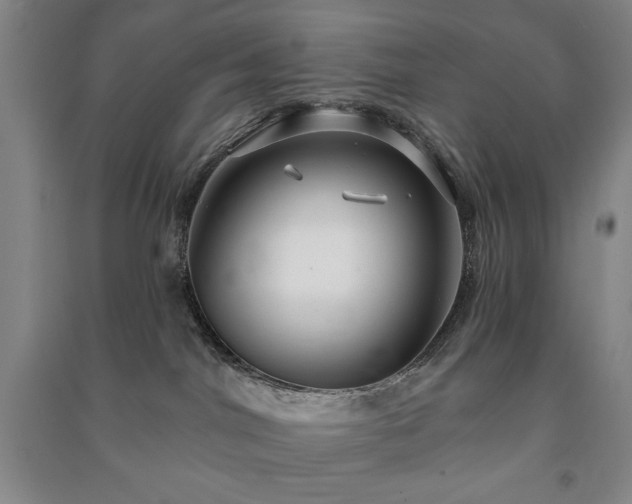 X0000091210044200708161552