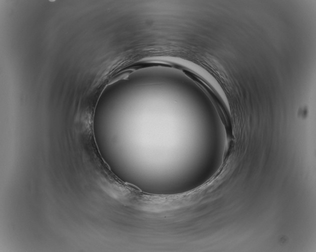 X0000091210045200708161552