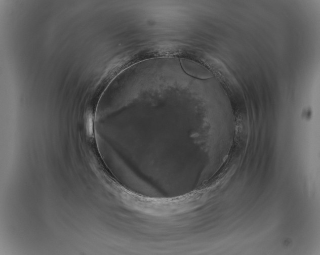 X0000091210046200708161552