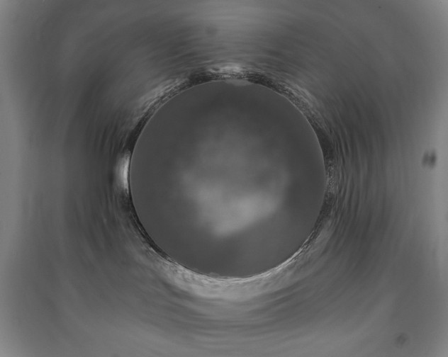 X0000091210047200708161552