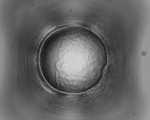 X0000091210050200708161551